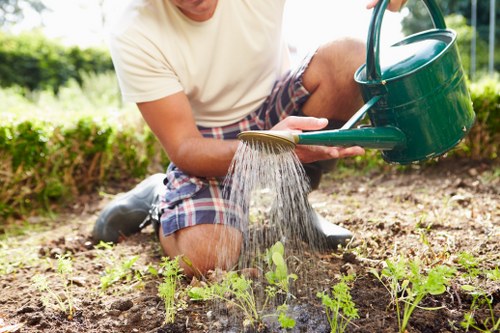 Professional decking installation team